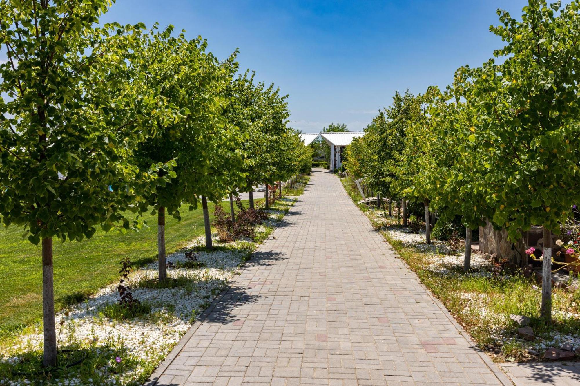 La Dolce Vita Resort Kapchagay Dış mekan fotoğraf